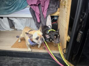 Checking out the interior of the van