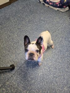 Waiting for my dinner