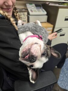 Chilling upside down