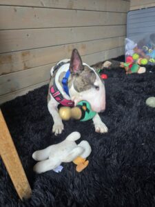 Playing with her toy