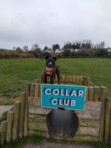 Bryan at collar club