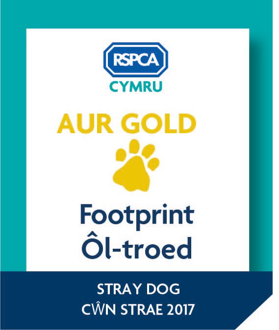 Dogs Home Cardiff Rspca Dogs Home Cardiff Rspca