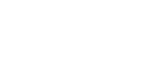 Cardiff Dogs Home