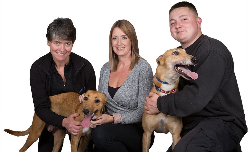 Staff at the dogs home