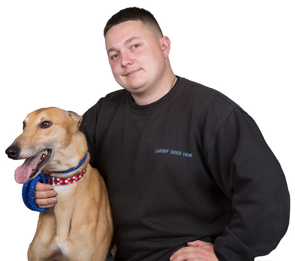 Cardiff dogs home staff