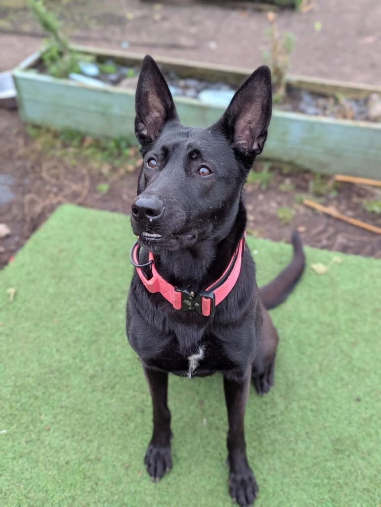 Xena