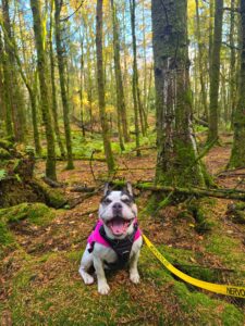 Rizzo sat in the woods