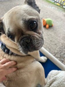 Having a fuss and cuddles