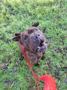 Catching some treats 