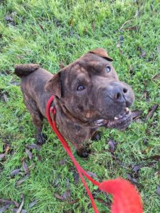 Catching more treats on my walk 