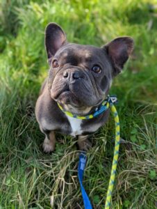 Out exploring the green 