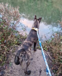 Looking over the river 