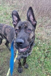 Showing off my teeth 