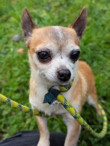 Watching the world go by 