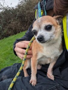 Taking time out on my walk 