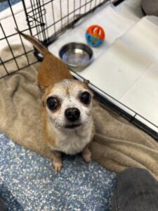 Waiting for my dinner 