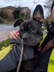 Taking time out for cuddles 