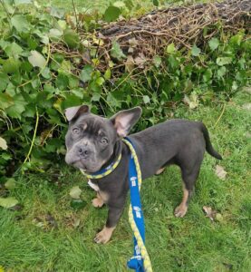 Waiting for my walker to fix my ears 