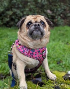 The most adorable boy