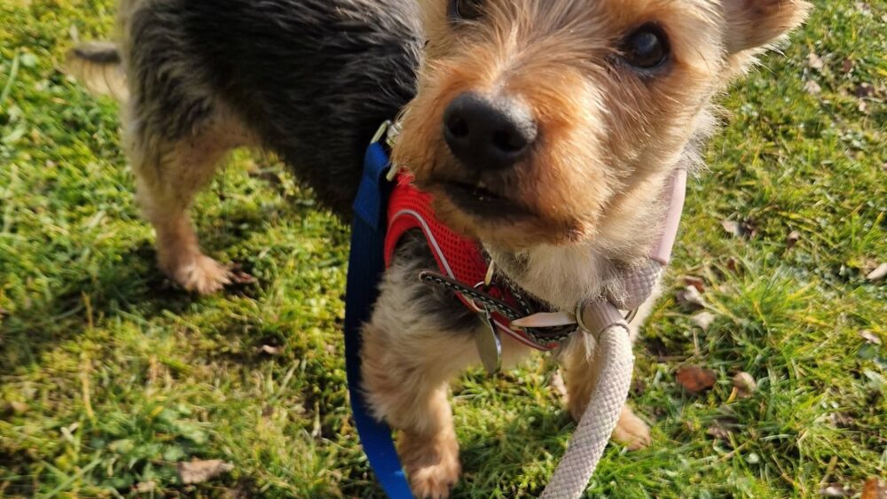 Showing off my handsome smile