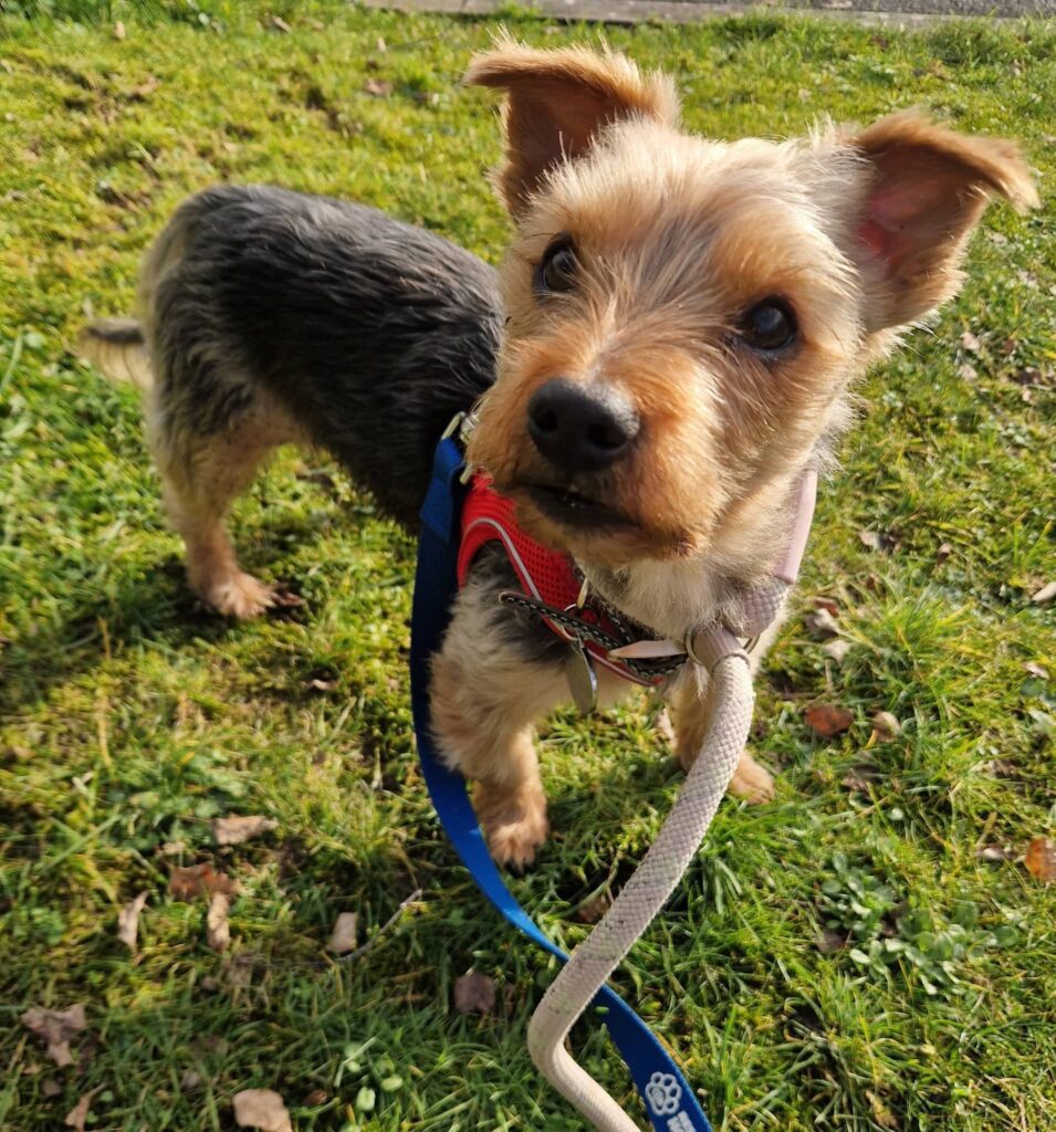 Showing off my handsome smile