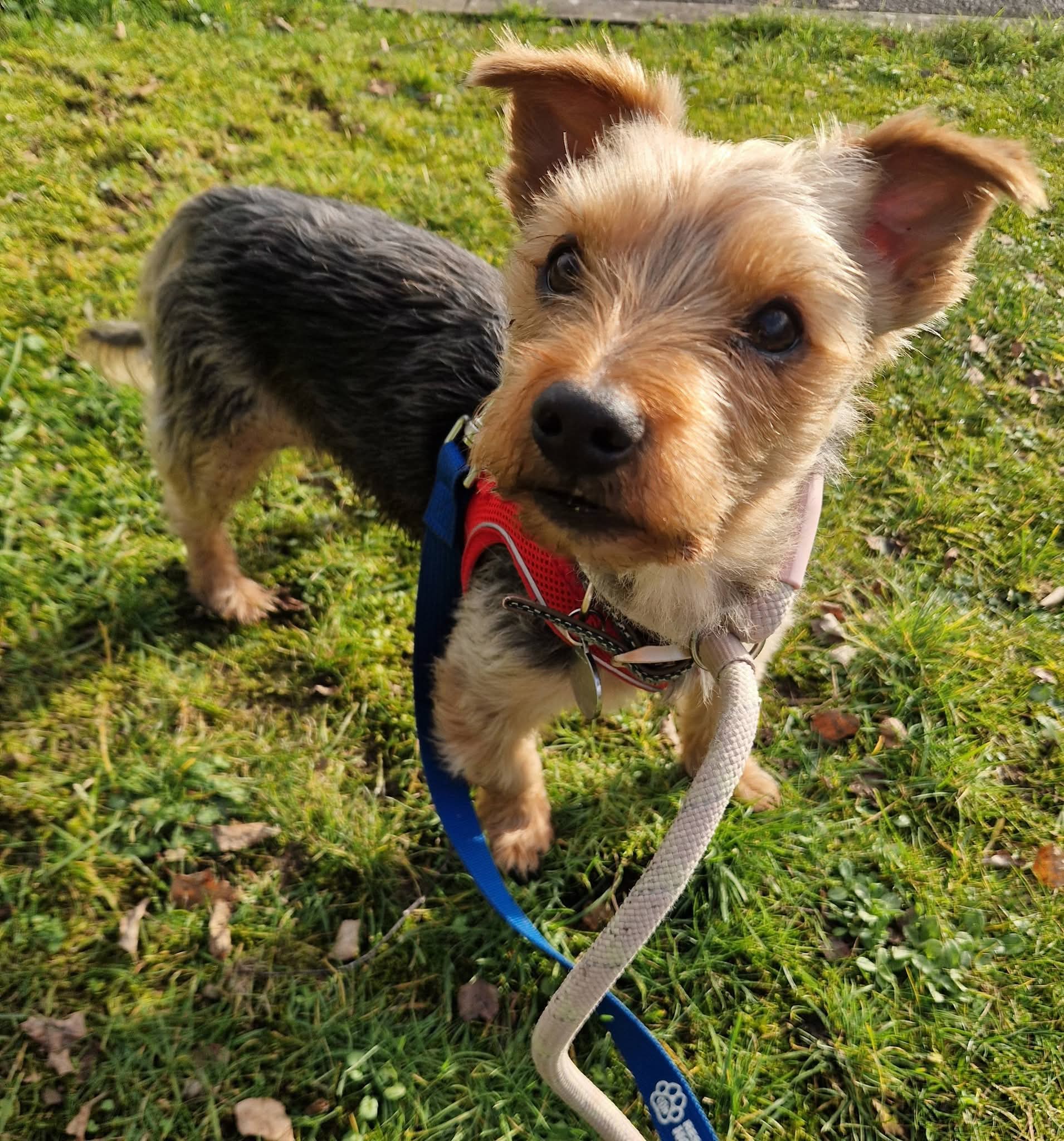 Showing off my handsome smile