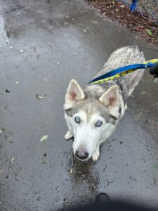Waiting for my treats