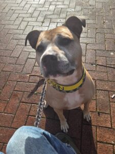 Hopefully I get one more treat