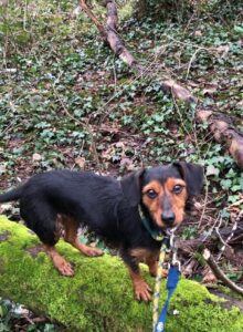 Showing off my jumping skills