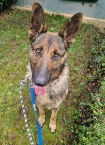 Poking my tongue out