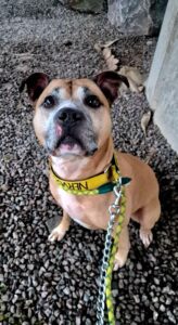 Waiting for my treats 