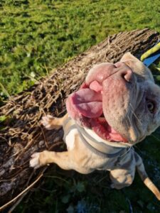 Anayas showing off her bully smile