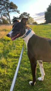 Checking out the local wildlife 