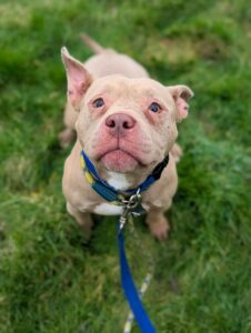 Just a girl finding her way 