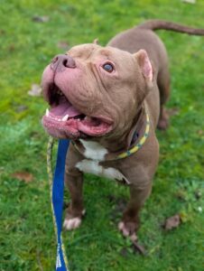 Waiting for my treats 