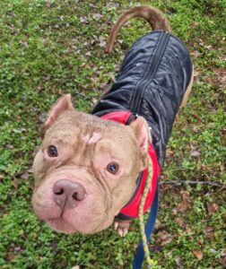 Such a handsome chap 