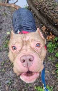 Dressing for the weather 