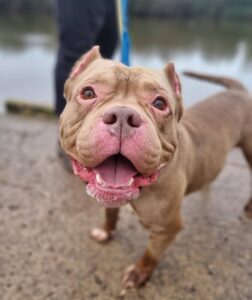 Showing my best smile 