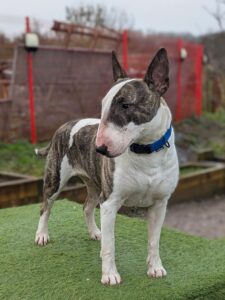 Showing my good side 