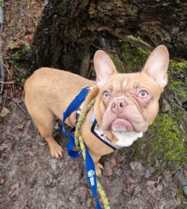 Sometimes my lip gets stuck