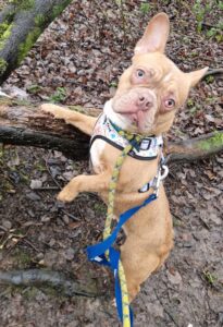 Showing off my best side