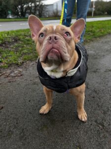 Looking smart in my jacket 