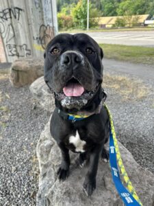 Taking a break from my walk 