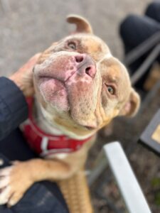 Lapping up the attention 