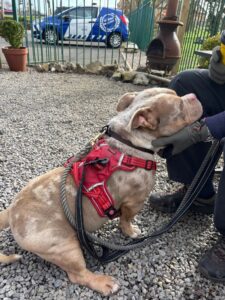 Lapping up the attention 