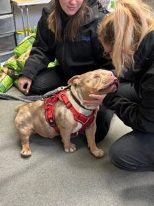 Lapping up the attention 