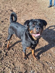 Waiting for my treats 