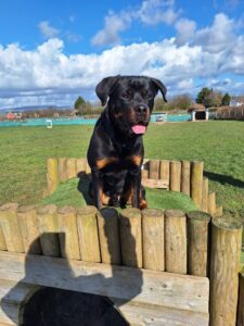 Posing for the picture 