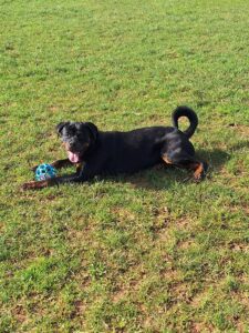 Playing with his toys 