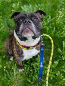 Waiting for my treats 